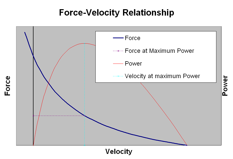 20110110024047muscle_force_velocity_relationship.png